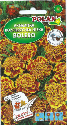 بلانتيكو بذور النباتات والخضروات والزهور