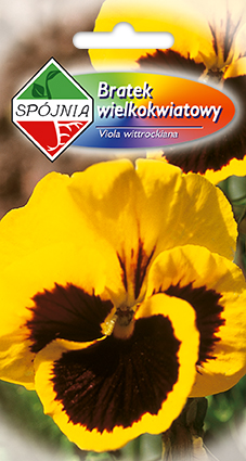 بلانتيكو بذور النباتات والخضروات والزهور