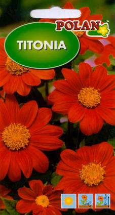 بلانتيكو بذور النباتات والخضروات والزهور