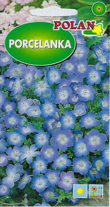 بلانتيكو بذور النباتات والخضروات والزهور