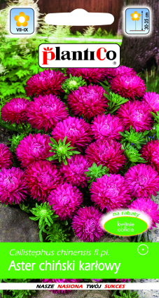 بلانتيكو بذور النباتات والخضروات والزهور