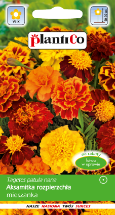 بلانتيكو بذور النباتات والخضروات والزهور