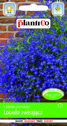 بلانتيكو بذور النباتات والخضروات والزهور