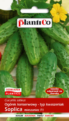 بلانتيكو بذور النباتات والخضروات والزهور