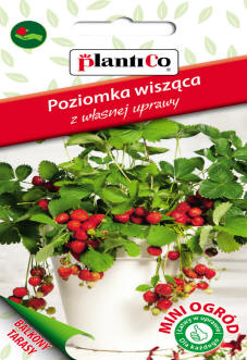 بلانتيكو بذور النباتات والخضروات والزهور