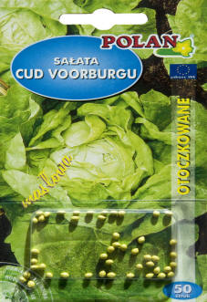 بلانتيكو بذور النباتات والخضروات والزهور