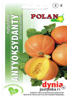 بلانتيكو بذور النباتات والخضروات والزهور